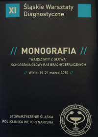 schorzenia_glowy schorzenia_glowy
