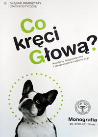 schorzenia_szyi schorzenia_szyi