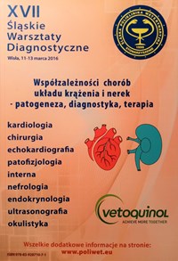 slaskie-warsztaty-diagnostyczne-2016
