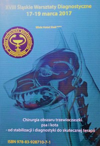 slaskie-warsztaty-diagnostyczne-2017